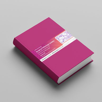 Surgical Pathology Update 2023(18 MP4 files+9.07 GB ) - medical review ...